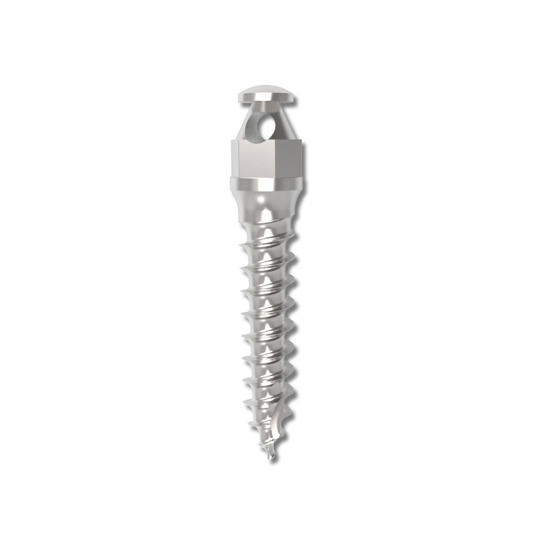 Absoanchor Small Head Microimplant 8mm