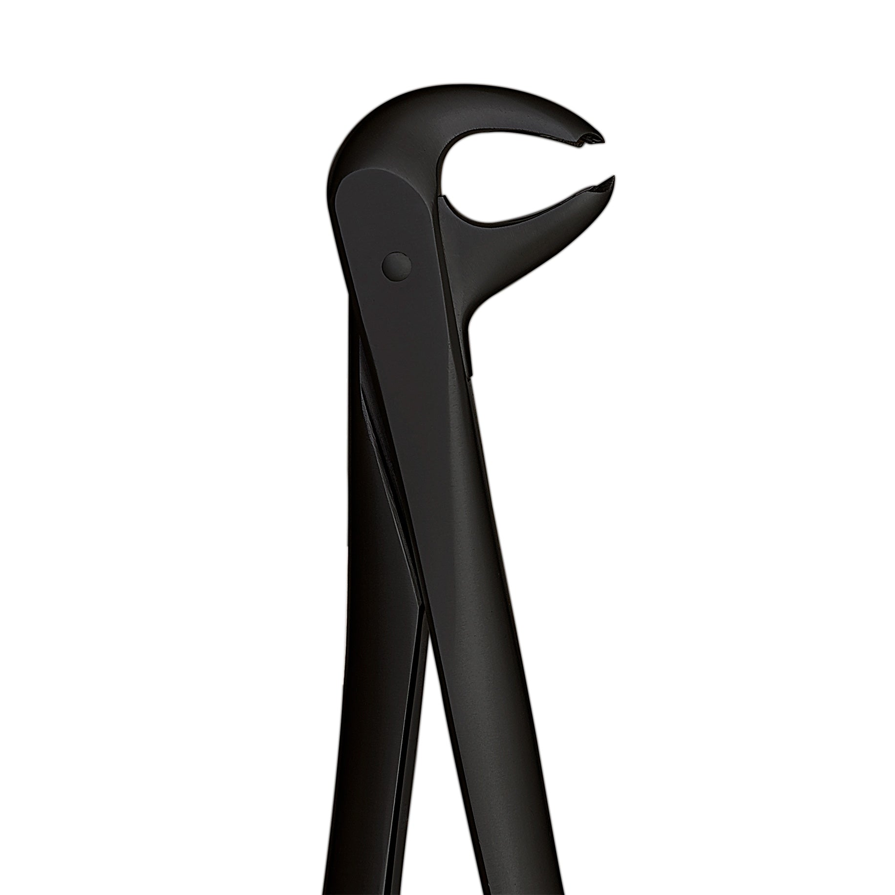 Extraction Forceps No. 73S Lower Molars, Small Beak - Hawks Bill (Nano Coating Black)