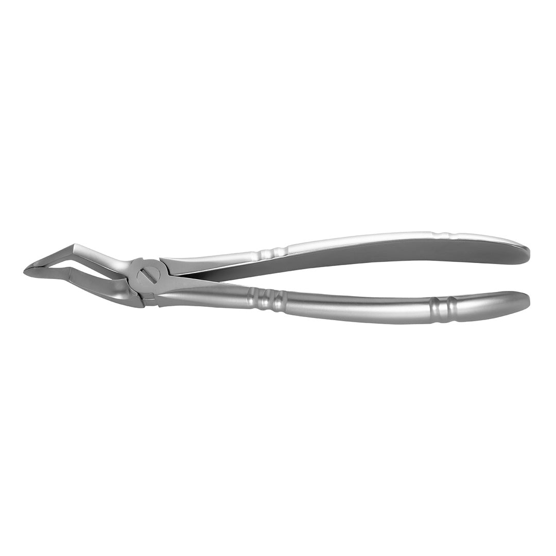 Root Forceps Upper