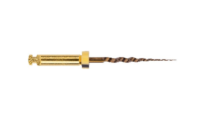 ProTaper Gold 19mm SX