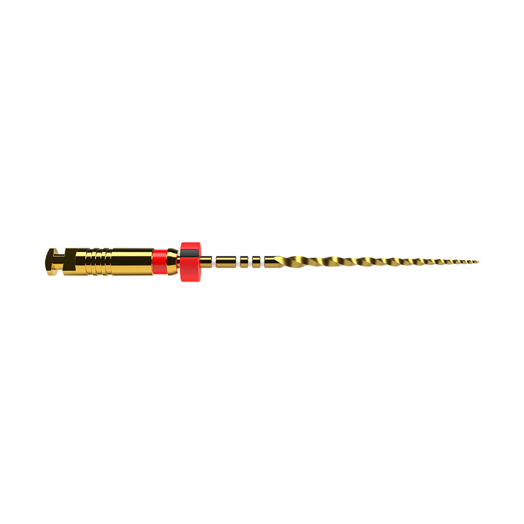 ProTaper Ultimate File F2 21mm