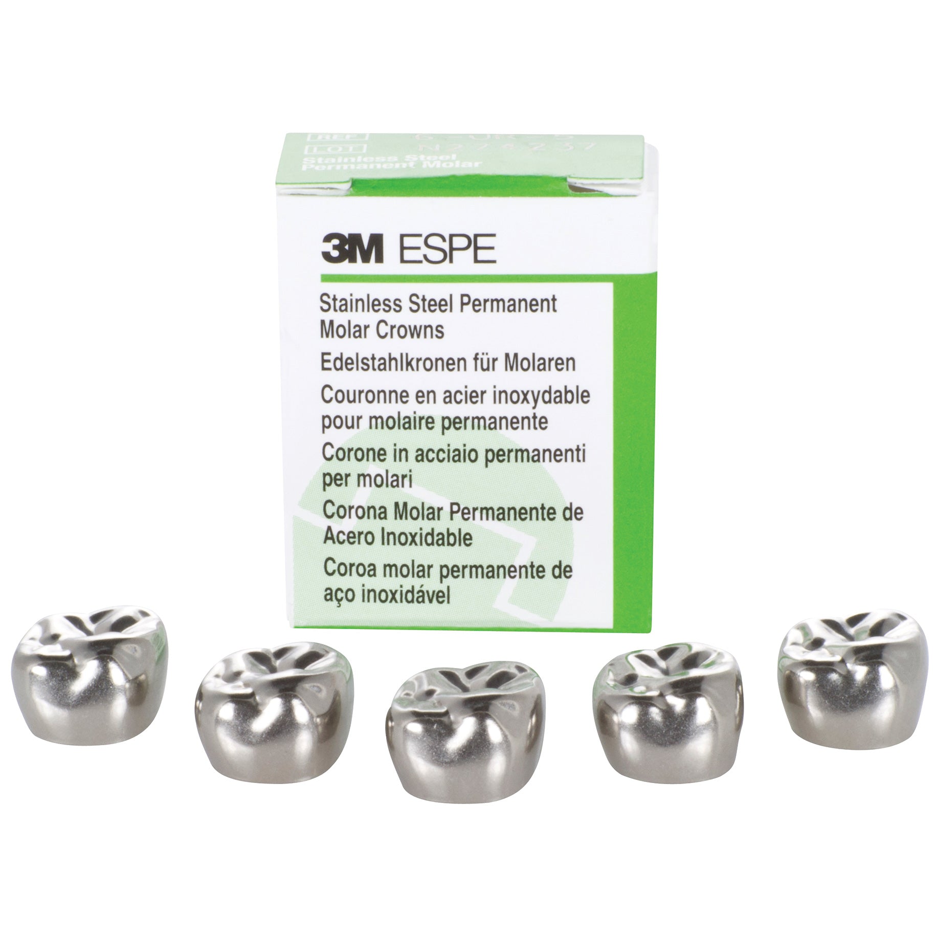 Stainless Steel Crowns Permanent Molar Lowers – Left 6-LL-2