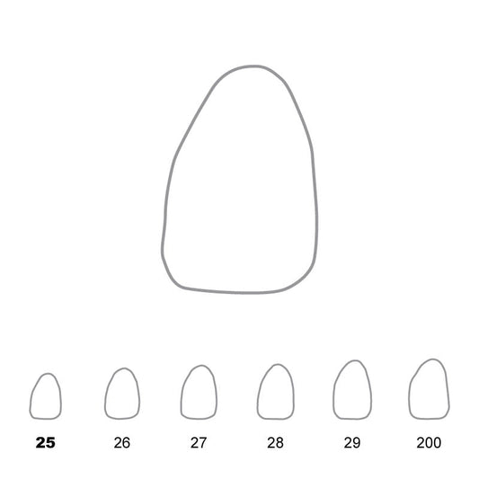 Temporary Crowns Upper Lateral Incisors Right 25