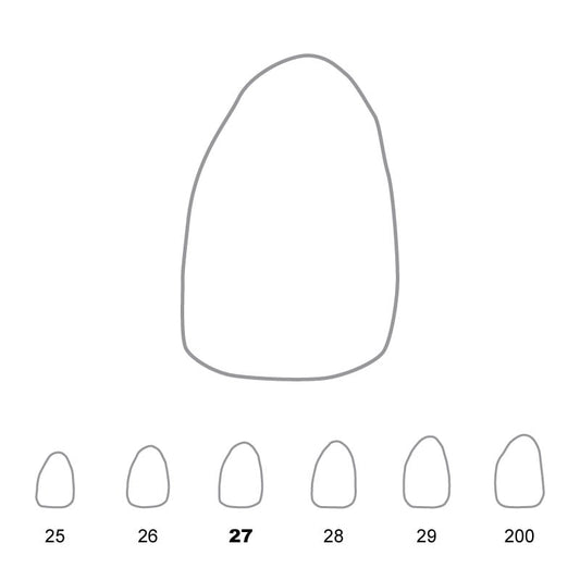 Temporary Crowns Upper Lateral Incisors Left 27