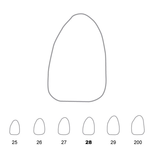 Temporary Crowns Upper Lateral Incisors Left 28