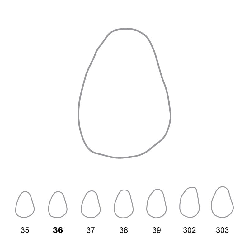 Temporary Crowns Upper Canines Left 36