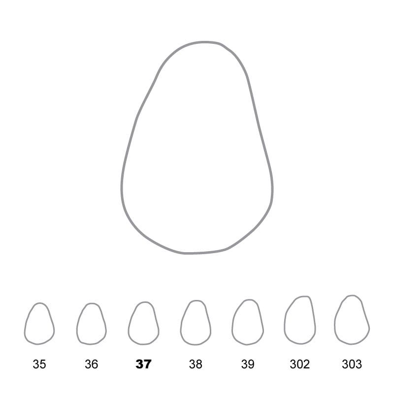 Temporary Crowns Upper Canines Left 37