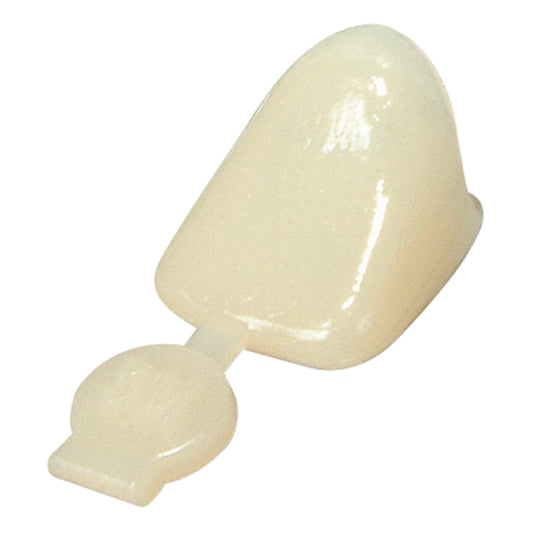 Polycarbonate Crowns Canines Right 31