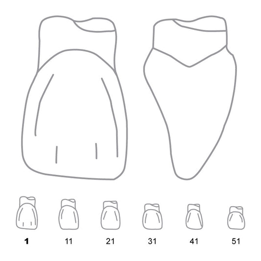 Odus Pella Transparent Crown Forms. Centrals 1