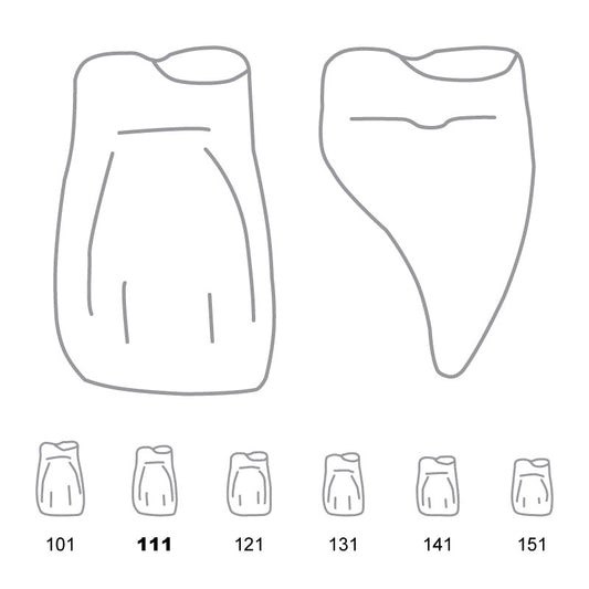 Odus Pella Transparent Crown Forms Central-Cervical Part Enlarged 111