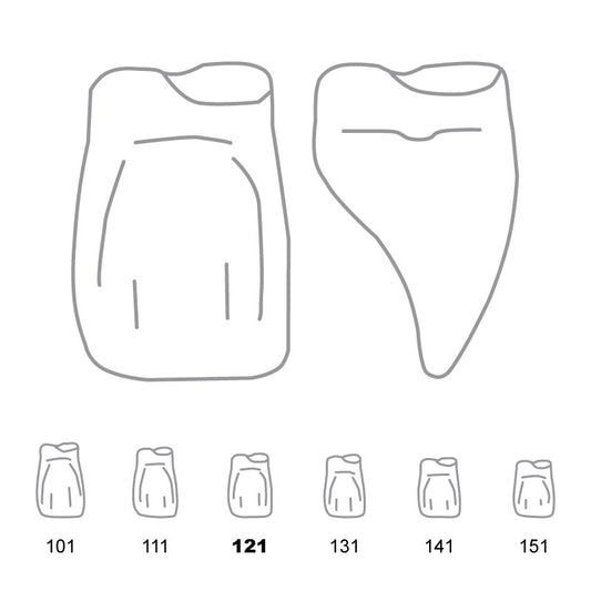 Odus Pella Transparent Crown Forms Central-Cervical Part Enlarged 121