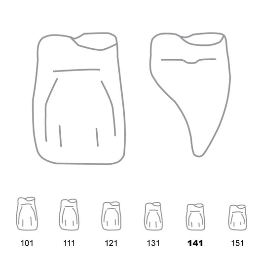 Odus Pella Transparent Crown Forms Central-Cervical Part Enlarged 141